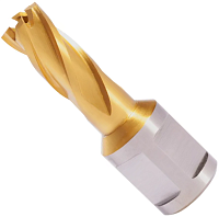 Сверло по металлу корончатое 14x63/30 мм HSS-TiN Weldon19 Terrax by Ruko 108214TTX